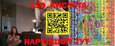 ПСИЛОЦИБИНОВЫЕ ГРИБЫ Кулебаки