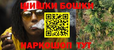 индика Кунгур