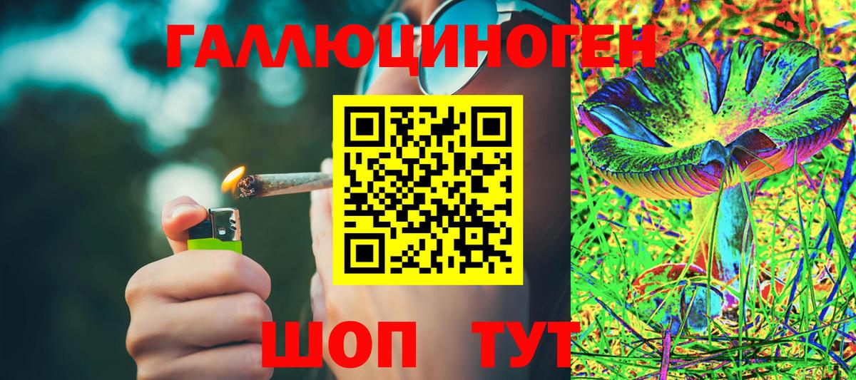 Псилоцибиновые грибы Magic Shrooms  где купить наркоту  Тимашёвск  Галлюциногенные грибы мухоморы  Вход с VPN 