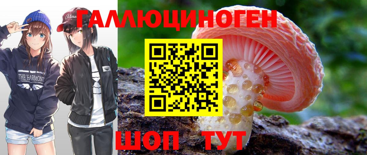 Галлюциногенные грибы Psilocybe Тимашёвск